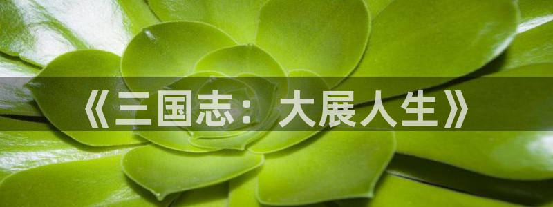 神马八戒电影院