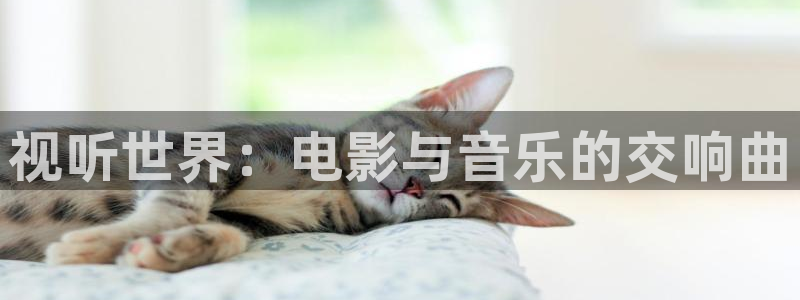 八戒神马免费影院