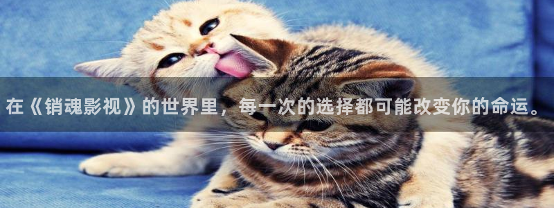 八戒电影伦理
