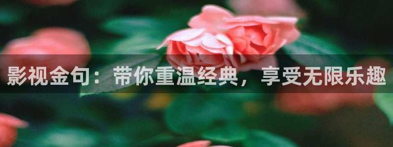 电影八戒有戏出品方