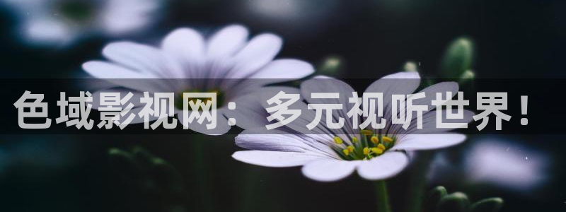 八戒星辰电影院